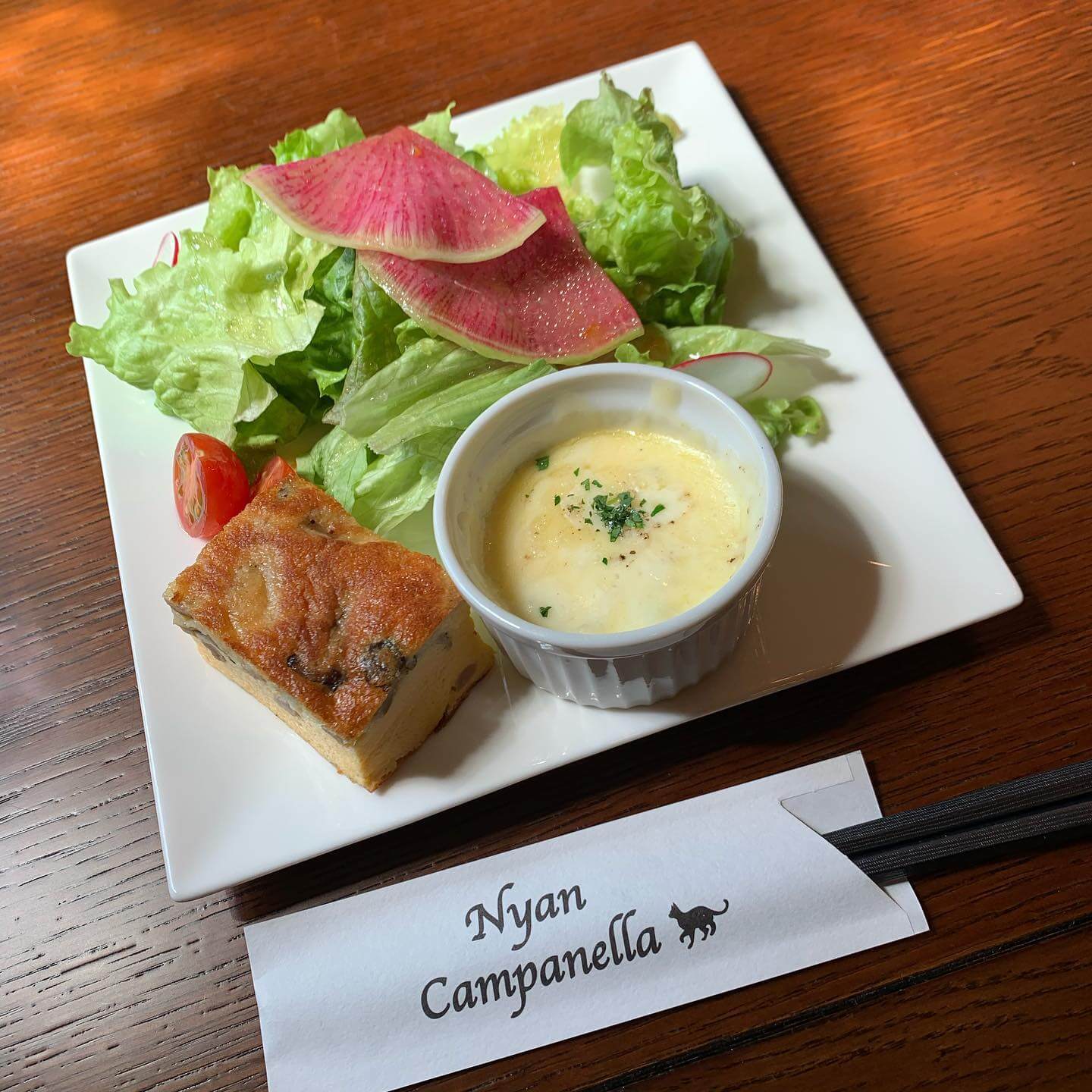 羽島市に新しくできた猫カフェ'nyan campanella'行ってきました！? ランチすごく美味しかったです?お昼休みに行ったので猫ちゃんは時間がなくて触れなかったです可愛い猫ちゃんたちがいっぱいいました#猫カフェ#羽島市ランチ